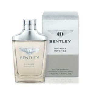 BENTLEY INFINITE (M) EDT 100ML